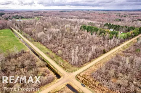 0000 S Plain & Curry Road Wells Township MI 48723
