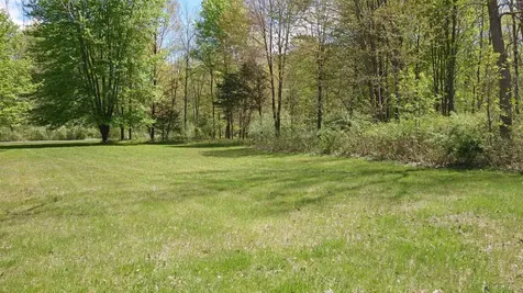 0 Arrowhead 1-a Aka 15215 Mckeighan Road Drive Chesaning Township MI 48616