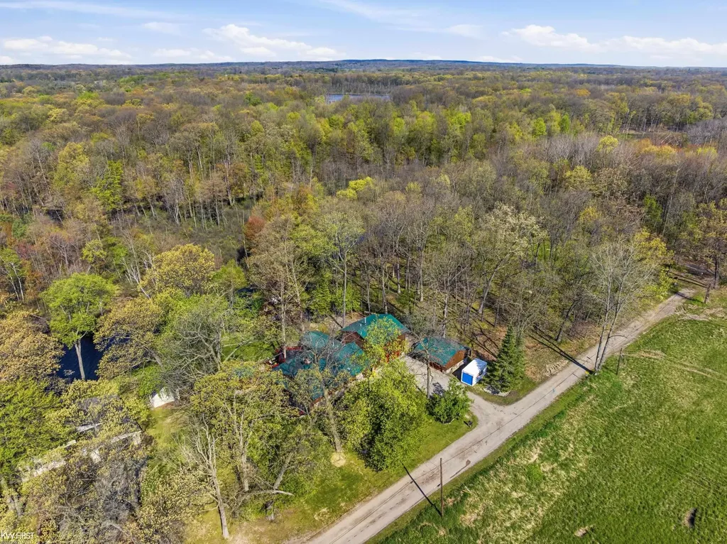 7219 Big Trail Road Rose Township MI 48442