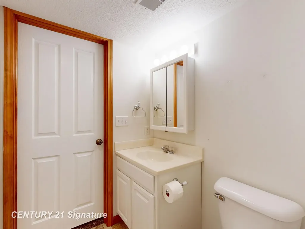 1724 Middle Point Drive Clement Township MI 48610