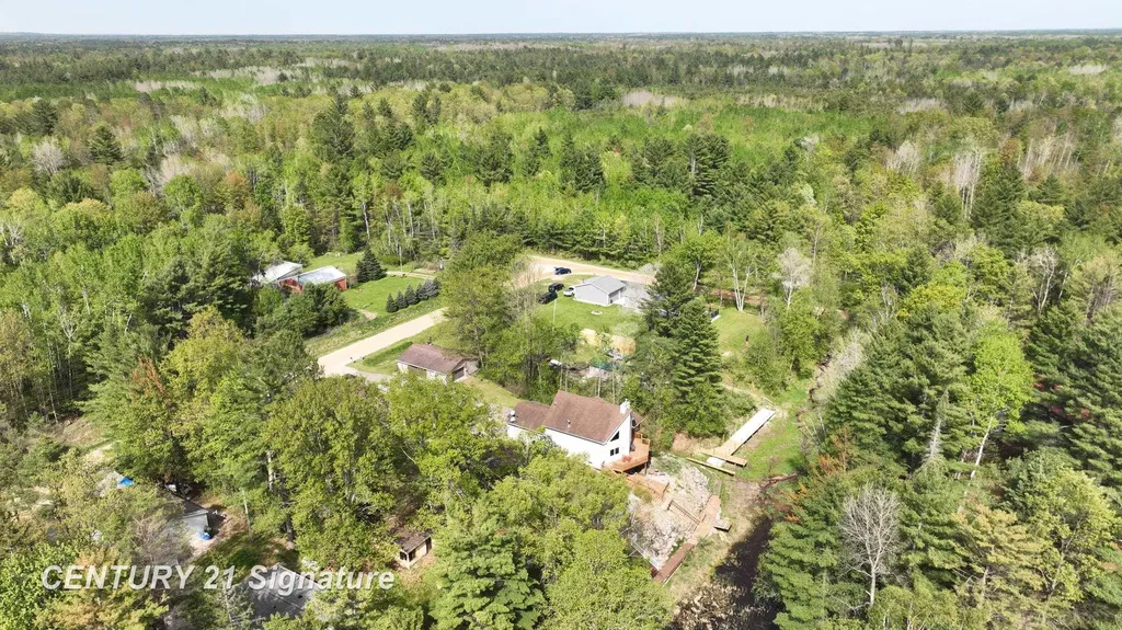 1724 Middle Point Drive Clement Township MI 48610