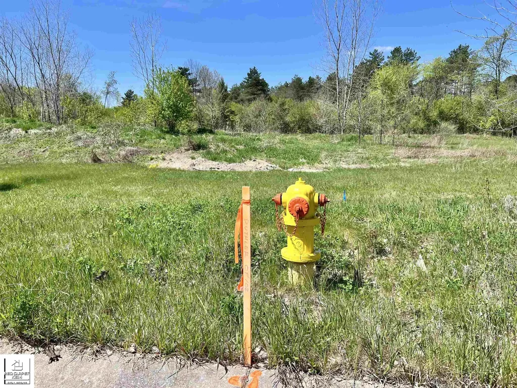 1450 Cal Drive Davison Township MI 48423