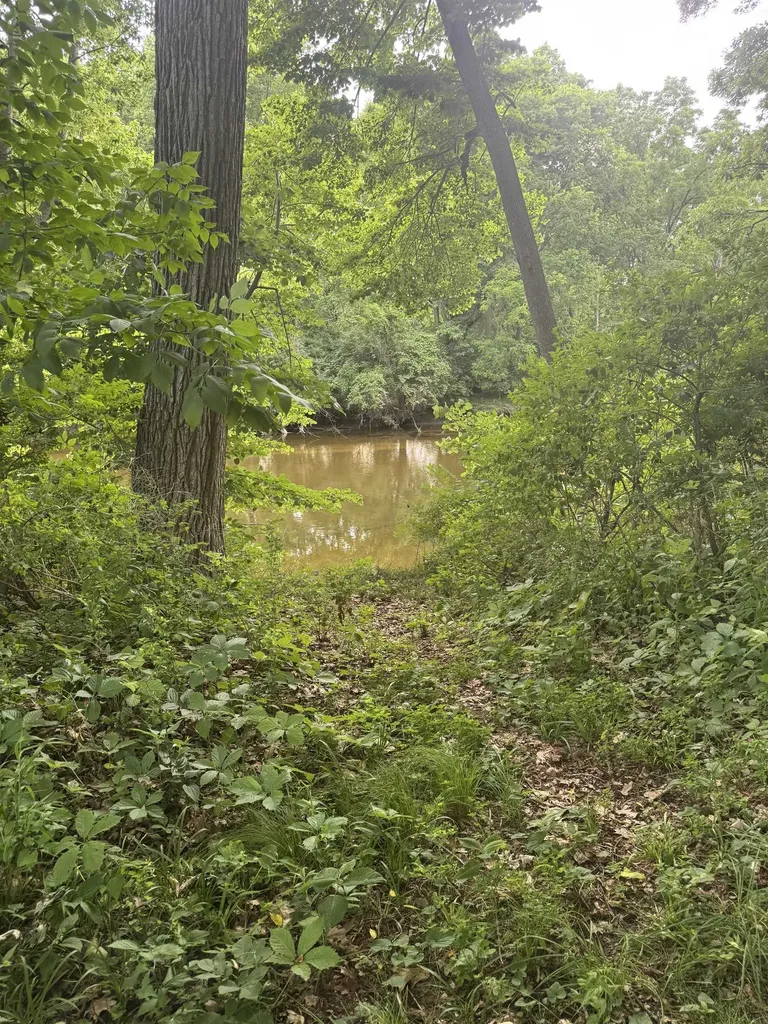 3715 N M-52 Road Rush Township MI 48867