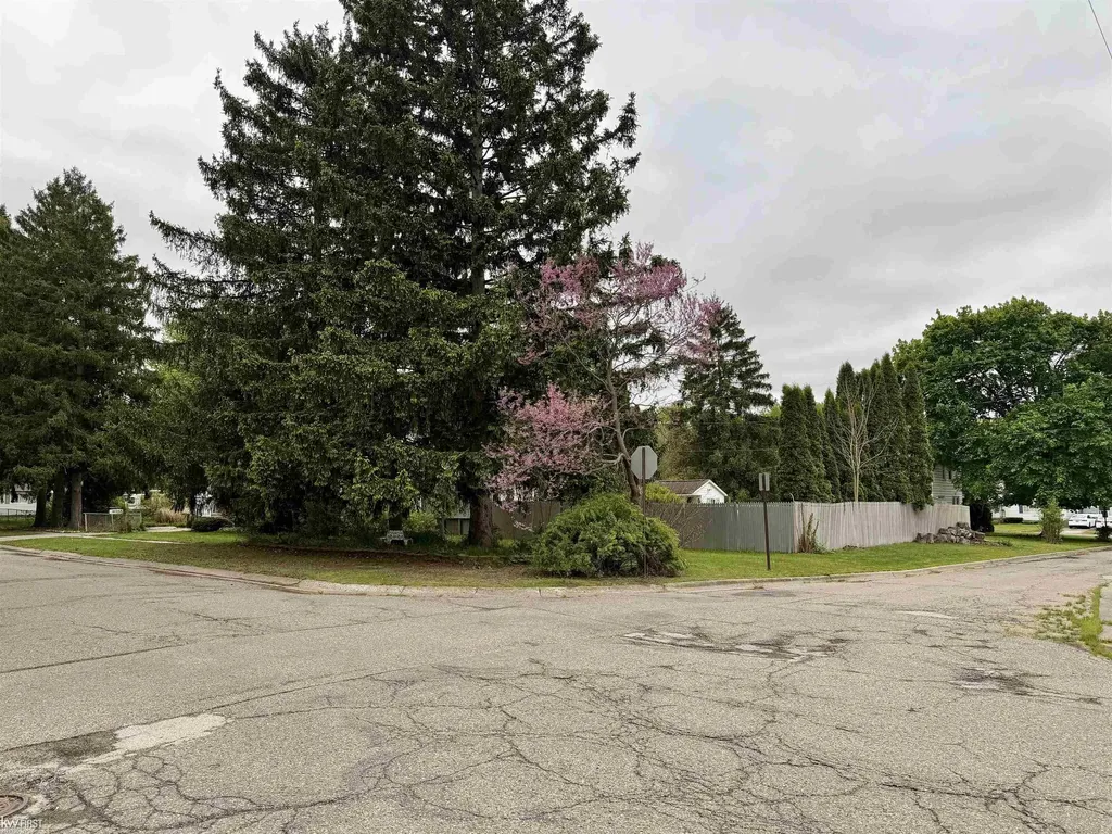 518 Oak Street Mt. Morris City MI 48458