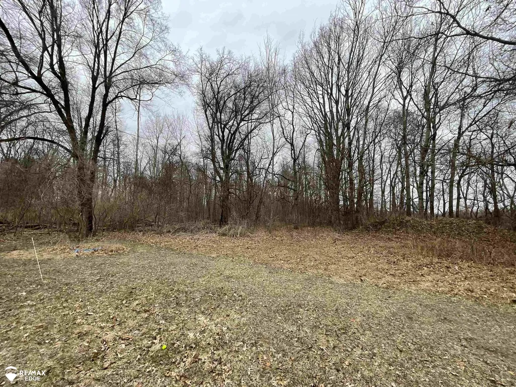 494 W Barnes Lake Road Deerfield Township MI 48421