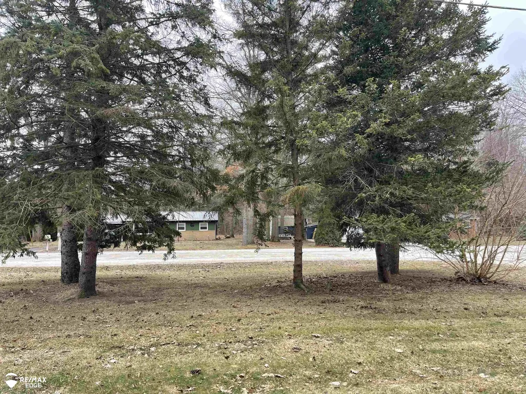 494 W Barnes Lake Road Deerfield Township MI 48421