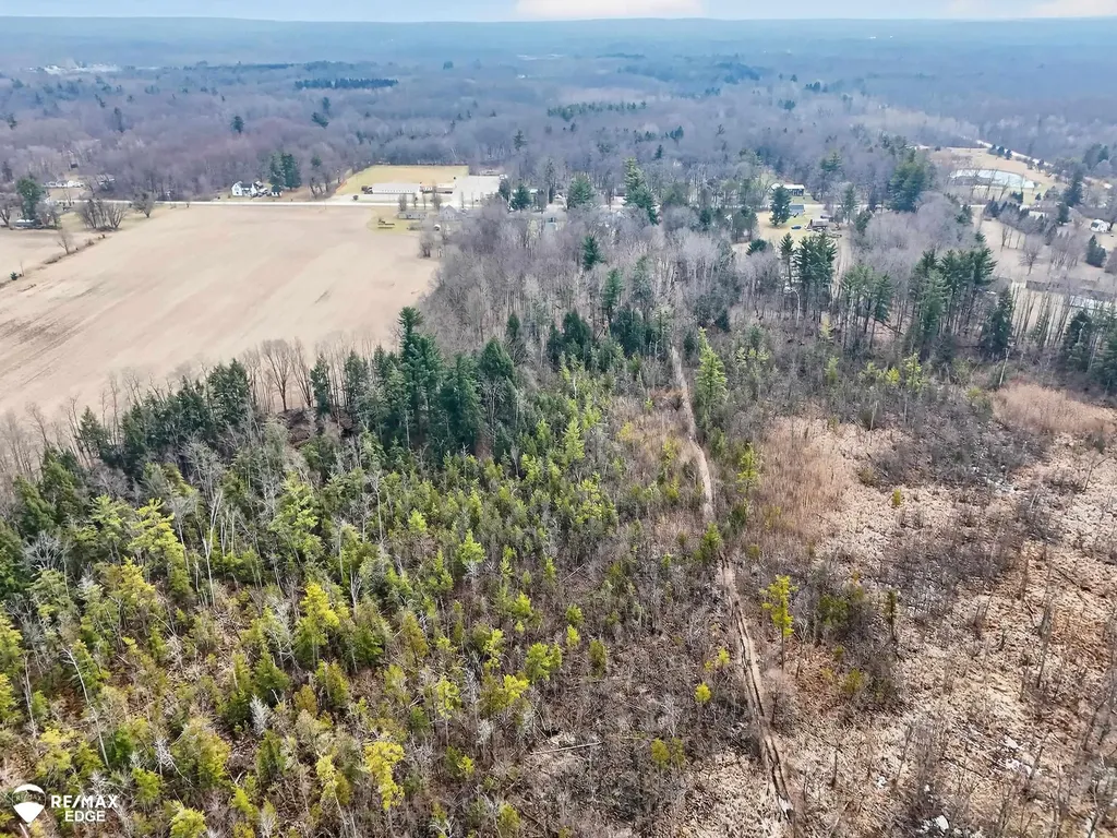 494 W Barnes Lake Road Deerfield Township MI 48421