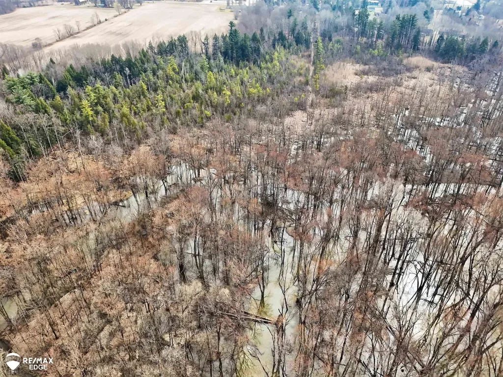 494 W Barnes Lake Road Deerfield Township MI 48421