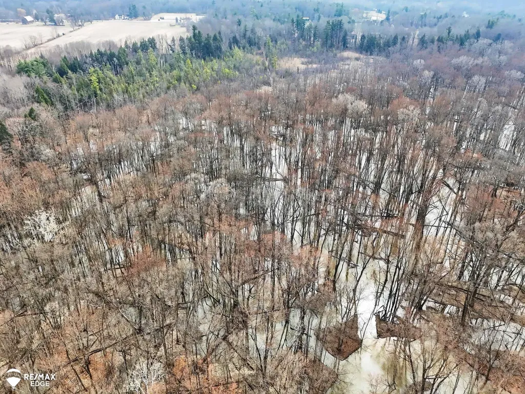 494 W Barnes Lake Road Deerfield Township MI 48421