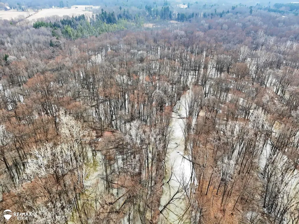 494 W Barnes Lake Road Deerfield Township MI 48421