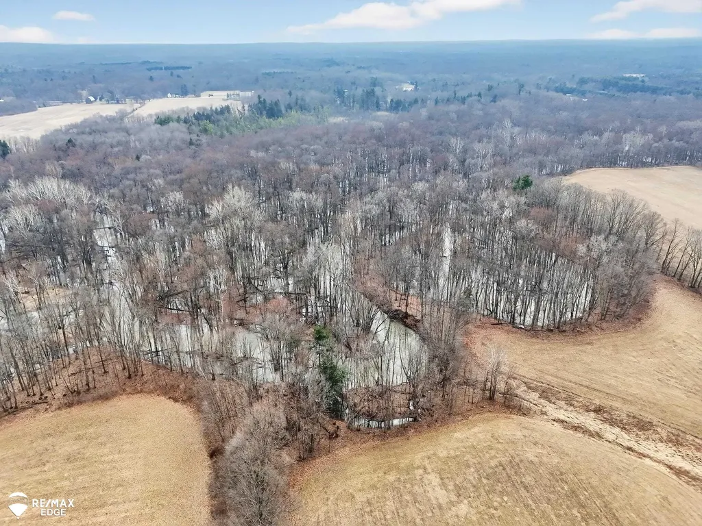 494 W Barnes Lake Road Deerfield Township MI 48421