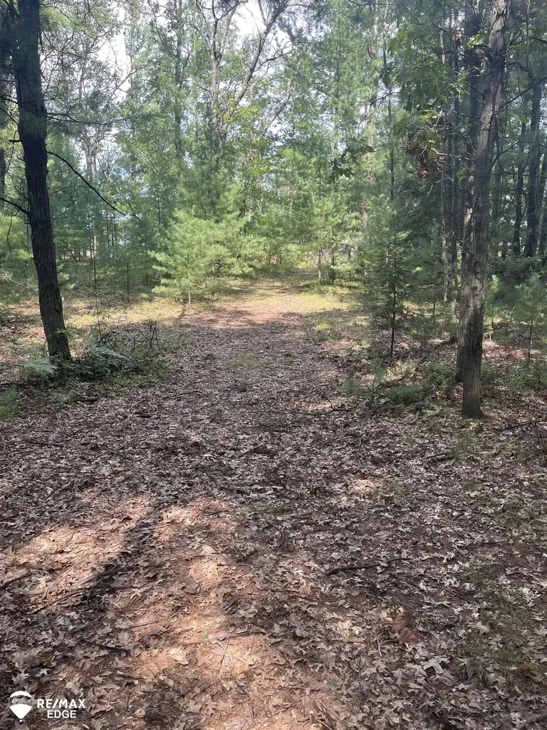0 Eagle Nest Lane Moffatt Township MI 48610