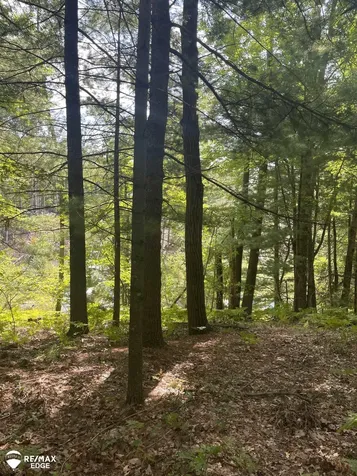 0 Eagle Nest Lane Moffatt Township MI 48610