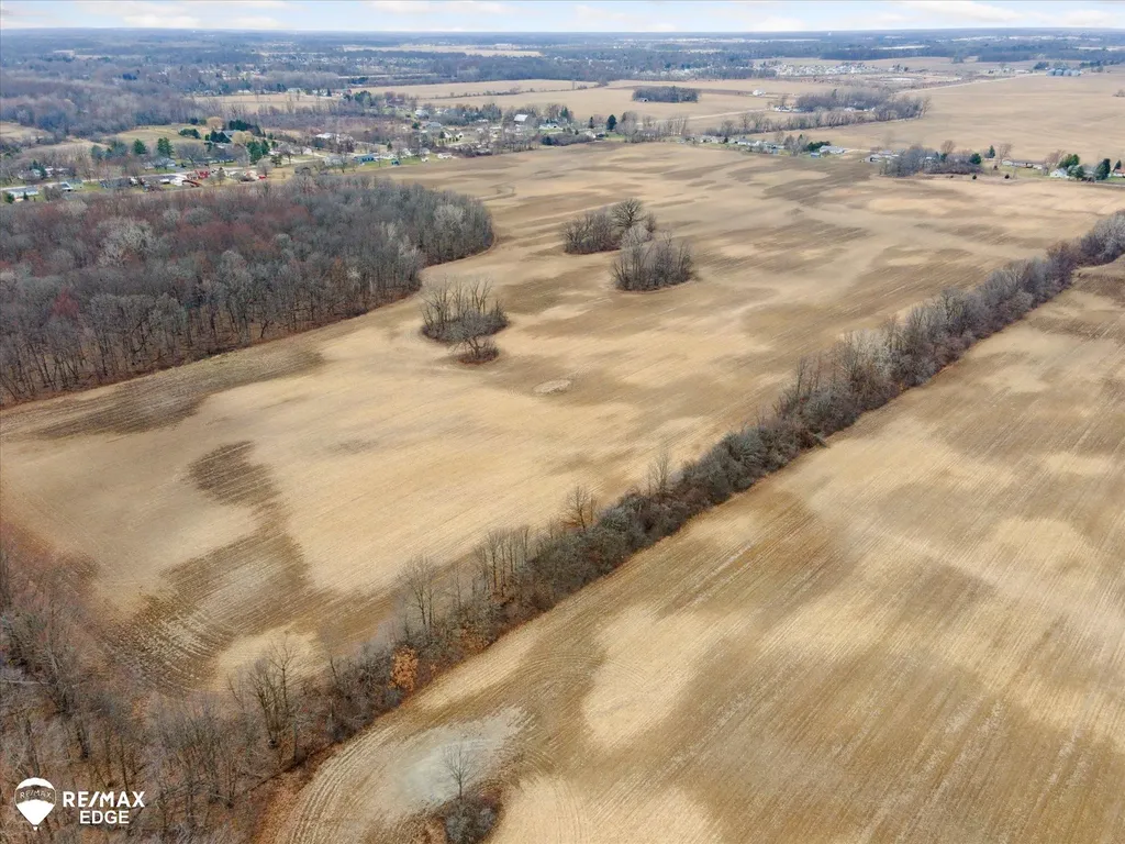 0 Reid Road Mundy Township MI 48473