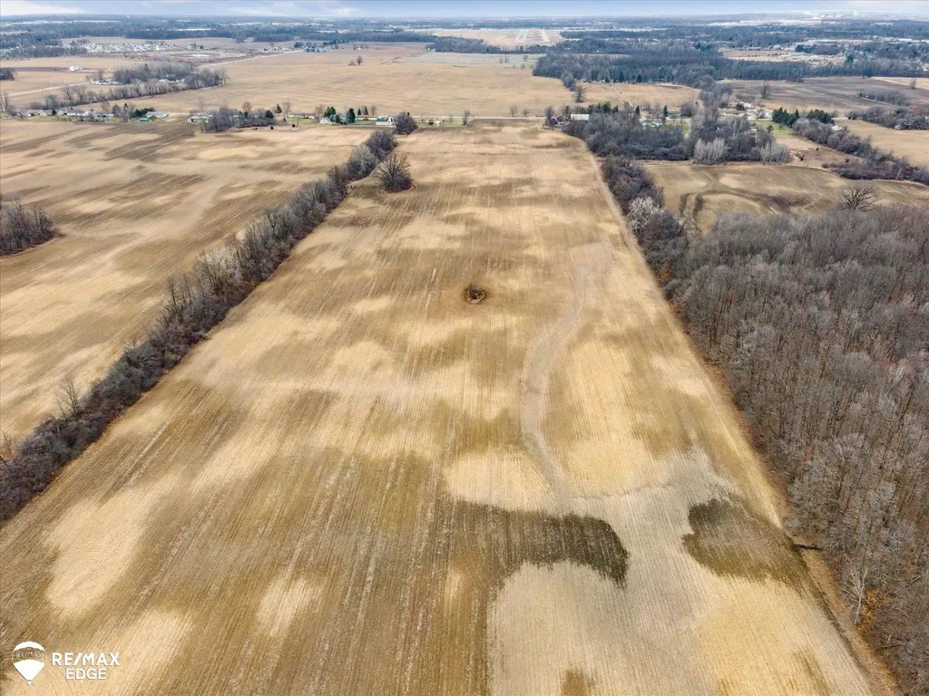 0 Reid Road Mundy Township MI 48473