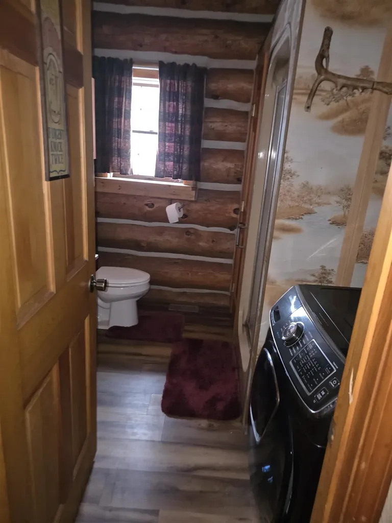 4720 E Nestel Road Backus Township MI 48656