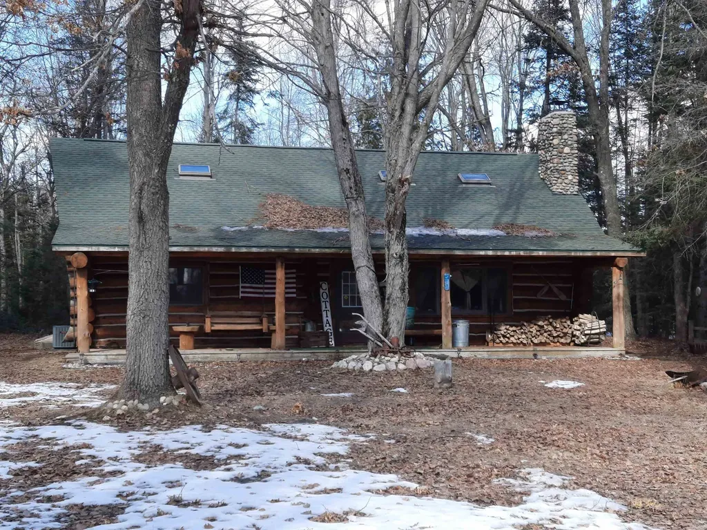 4720 E Nestel Road Backus Township MI 48656