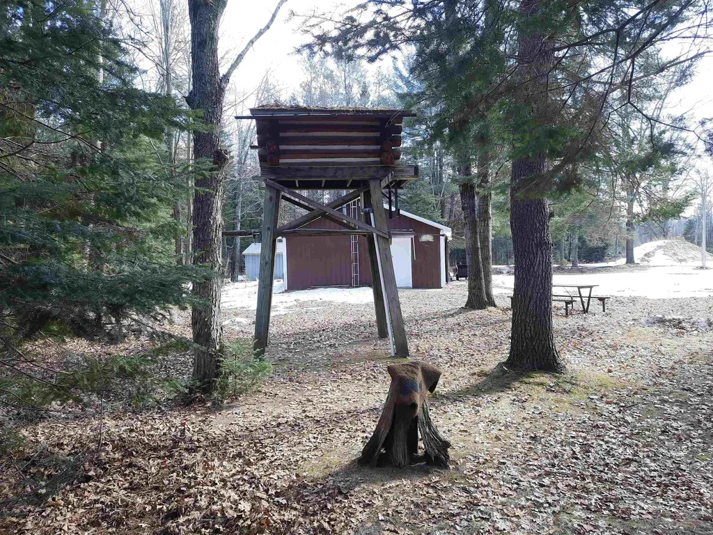 4720 E Nestel Road Backus Township MI 48656