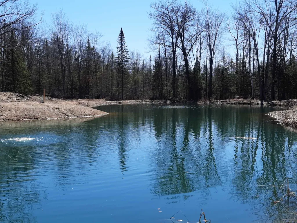 4720 E Nestel Road Backus Township MI 48656