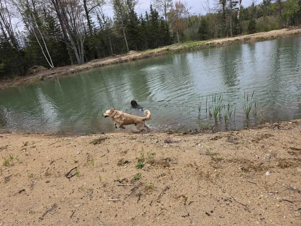 4720 E Nestel Road Backus Township MI 48656