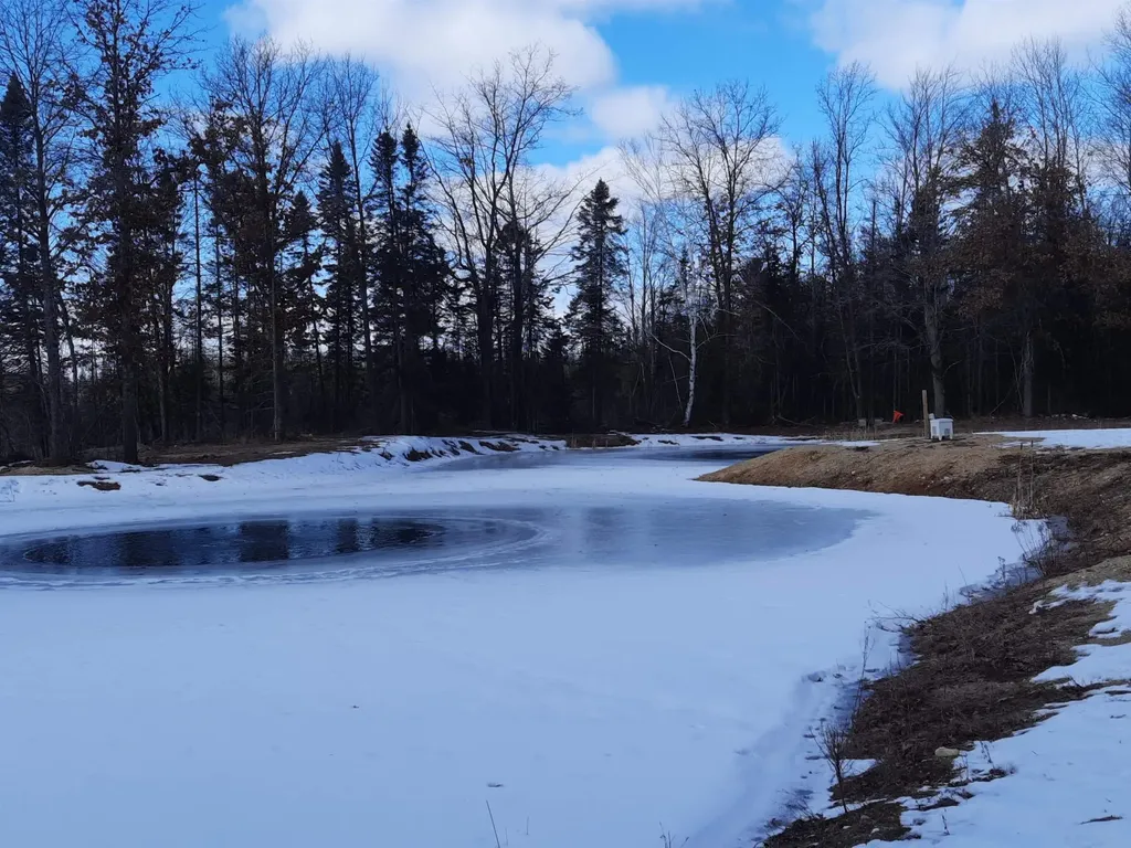 4720 E Nestel Road Backus Township MI 48656