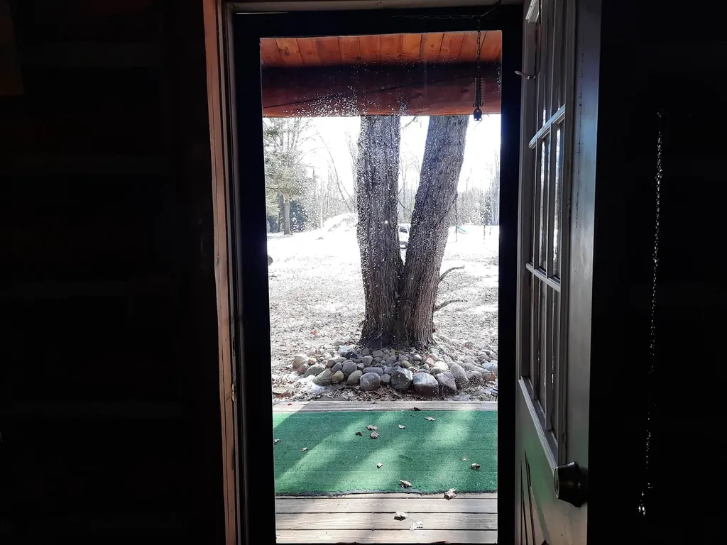 4720 E Nestel Road Backus Township MI 48656