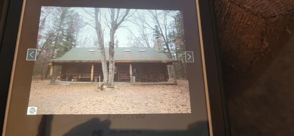 4720 E Nestel Road Backus Township MI 48656