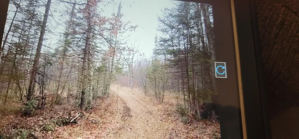 4720 E Nestel Road Backus Township MI 48656