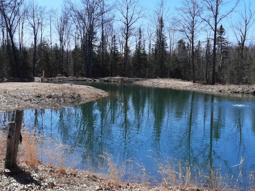 4720 E Nestel Road Backus Township MI 48656