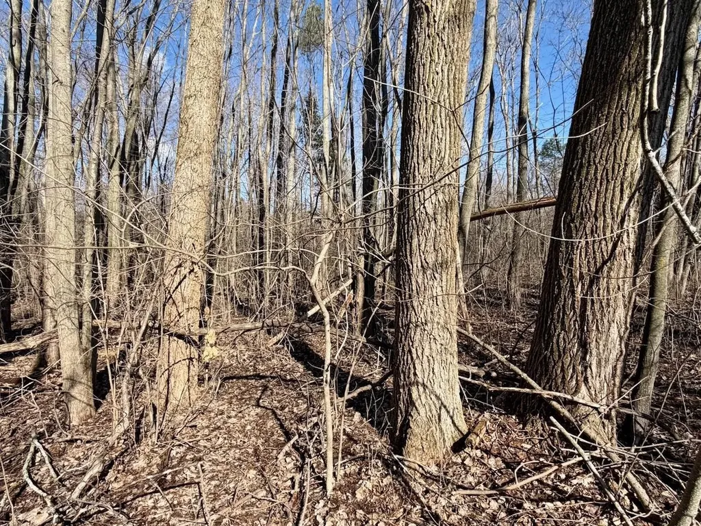 3600 King Road Bridgeport Charter Township MI 48601