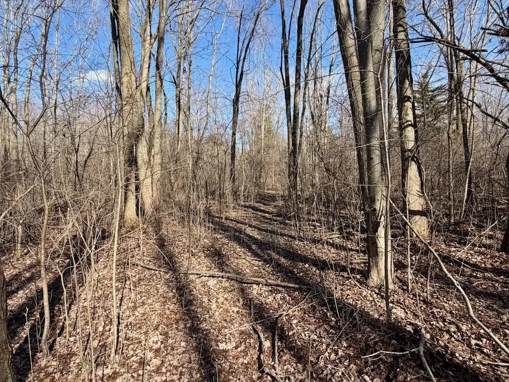 3600 King Road Bridgeport Charter Township MI 48601