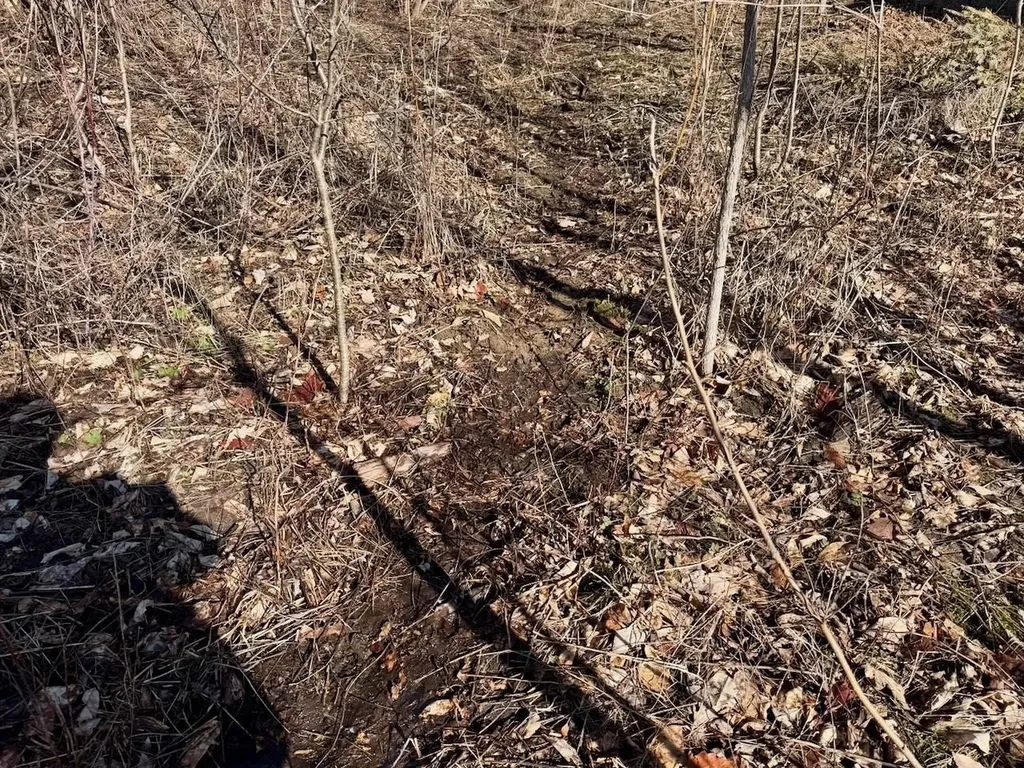 3600 King Road Bridgeport Charter Township MI 48601