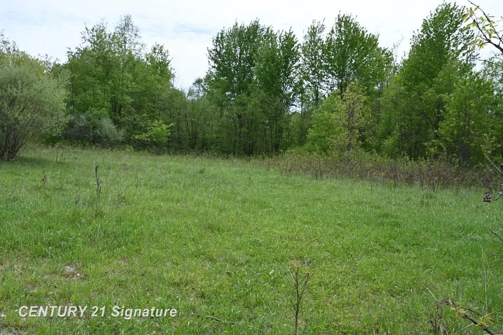 150 E Winegars Road Hay Township MI 48624