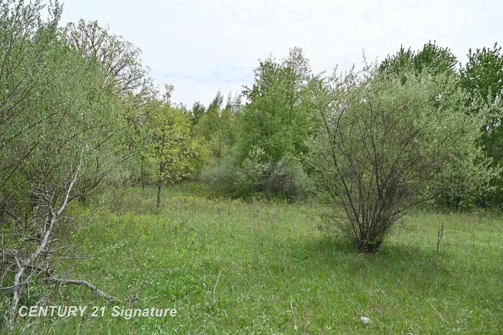 150 E Winegars Road Hay Township MI 48624