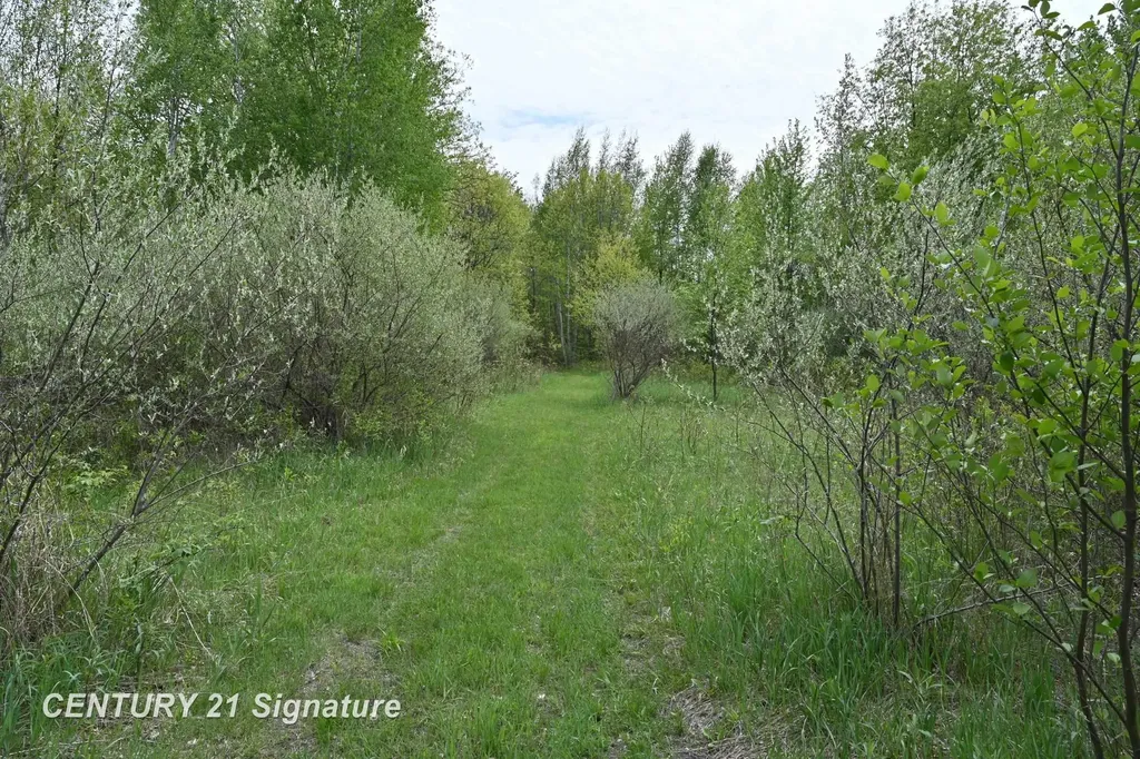 150 E Winegars Road Hay Township MI 48624