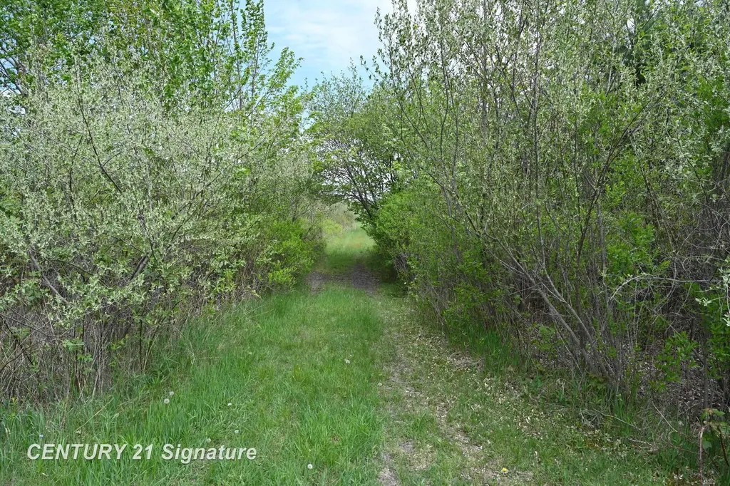 150 E Winegars Road Hay Township MI 48624