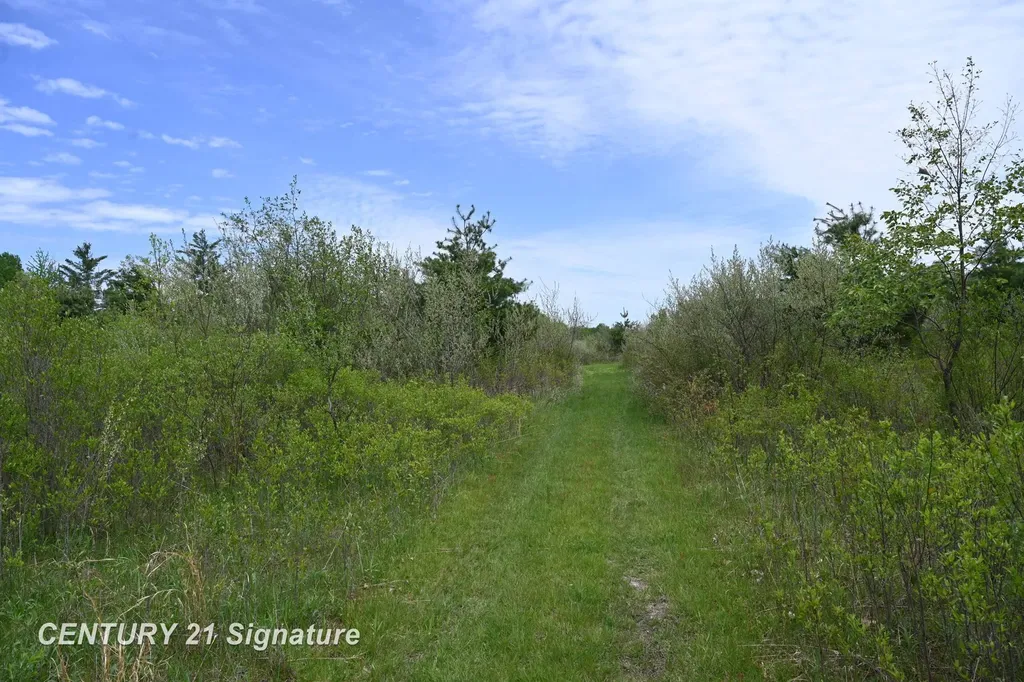 150 E Winegars Road Hay Township MI 48624