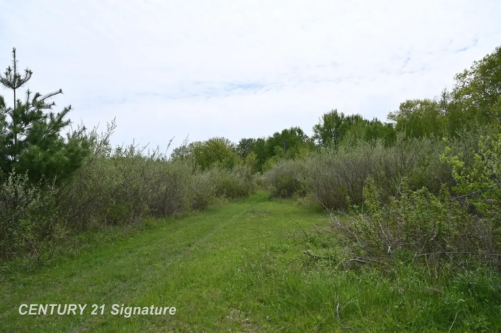150 E Winegars Road Hay Township MI 48624
