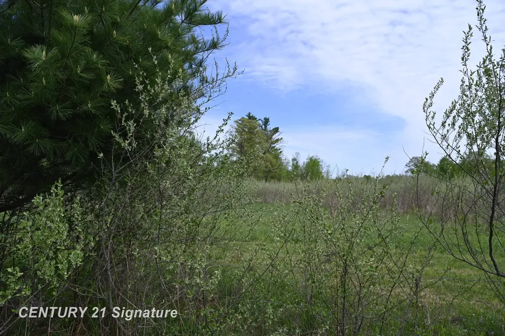 150 E Winegars Road Hay Township MI 48624