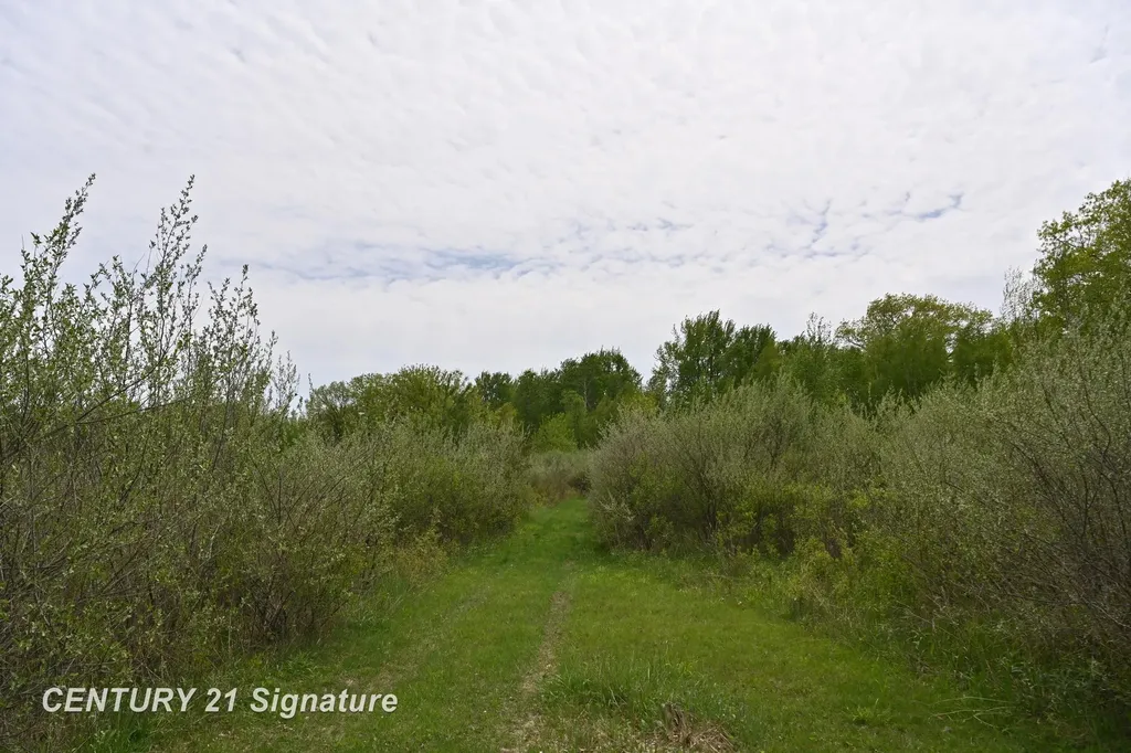 150 E Winegars Road Hay Township MI 48624