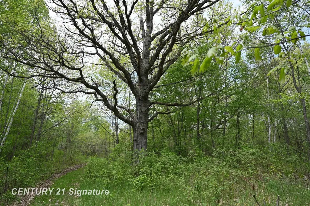 150 E Winegars Road Hay Township MI 48624