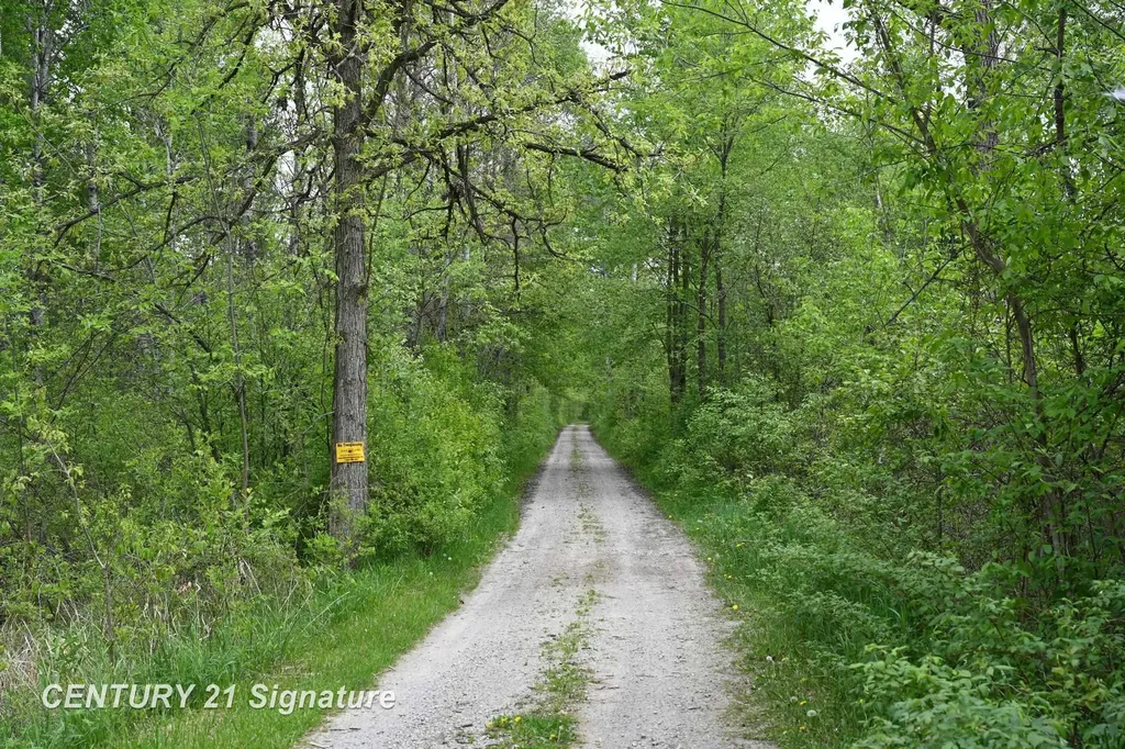 150 E Winegars Road Hay Township MI 48624