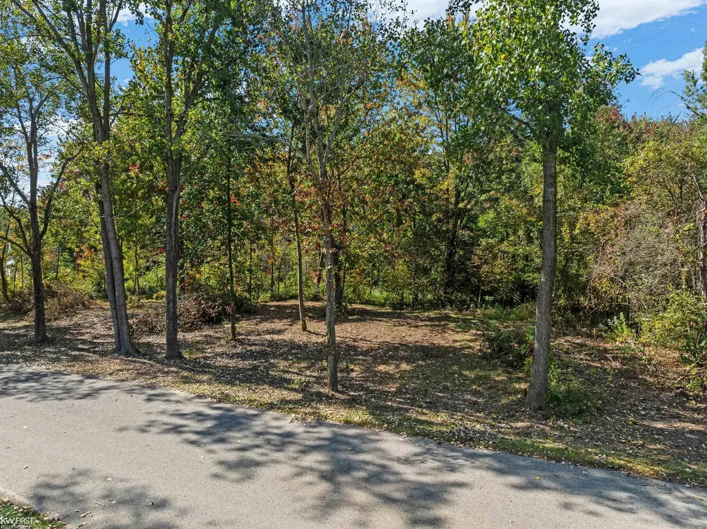 0 Marwood Drive Howell Township MI 48855