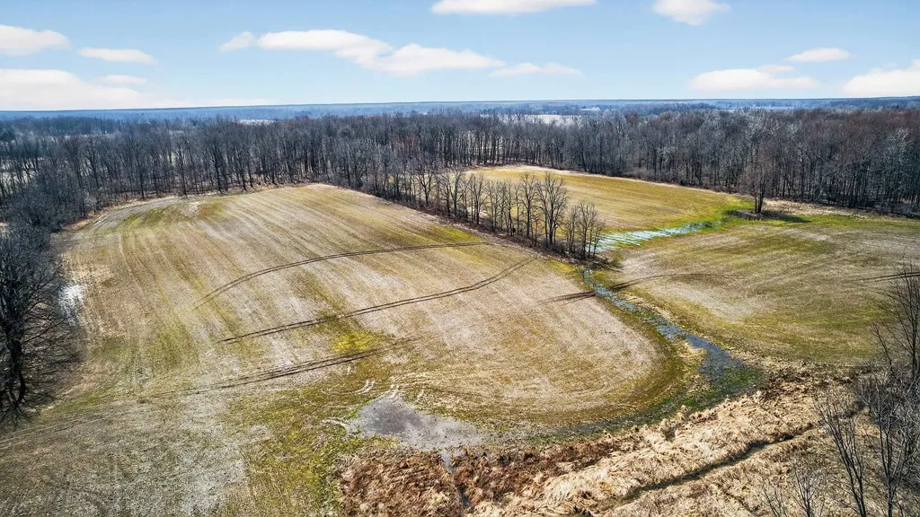 V/l S State Road Shiawassee Township MI 48414