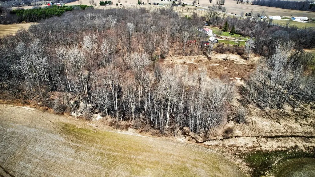 V/l S State Road Shiawassee Township MI 48414