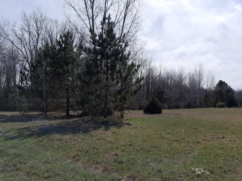 Vl State Road Vassar Township MI 48768