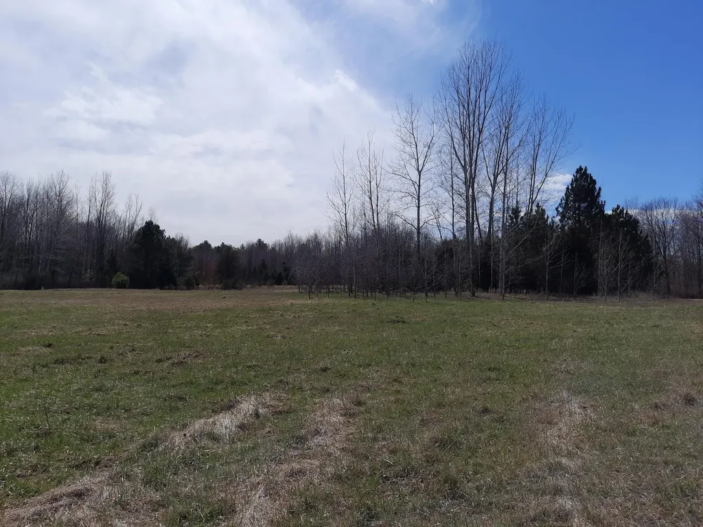 Vl State Road Vassar Township MI 48768