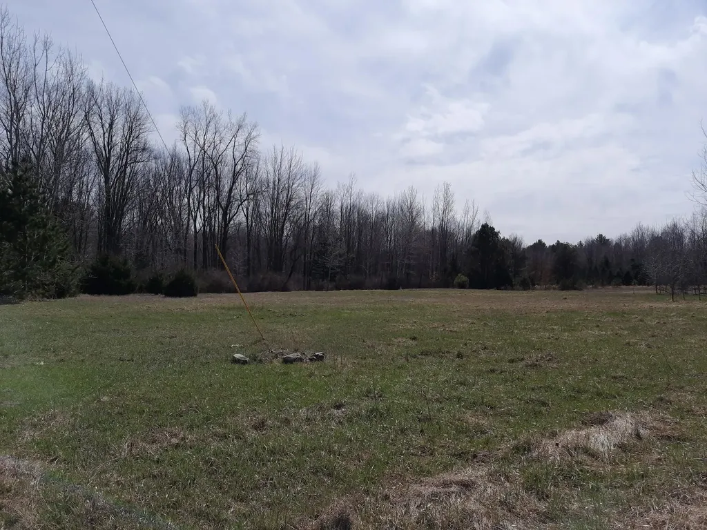 Vl State Road Vassar Township MI 48768