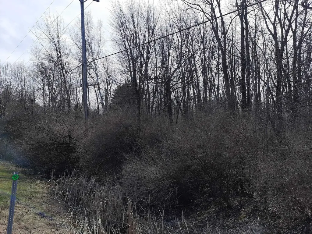Vl State Road Vassar Township MI 48768