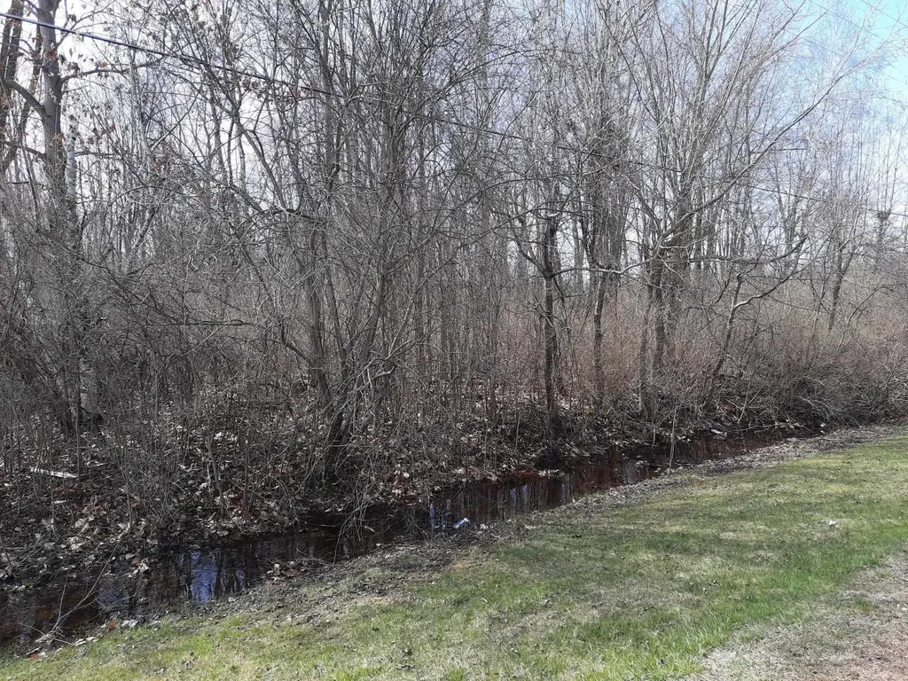 Vl State Road Vassar Township MI 48768